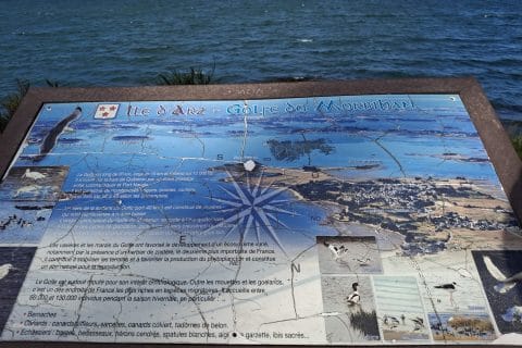 Cliquez pour zoomer ! Photo de Petroni