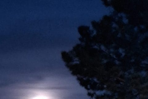 Cliquez pour zoomer ! Photo de Petroni