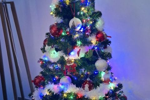 Cliquez pour zoomer ! Photo de Petroni