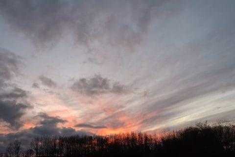 Cliquez pour zoomer ! Photo de Petroni