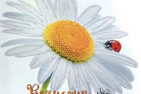 Cliquez pour zoomer ! Photo de Petroni