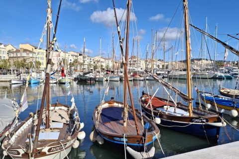 Cliquez pour zoomer ! Photo de Petroni