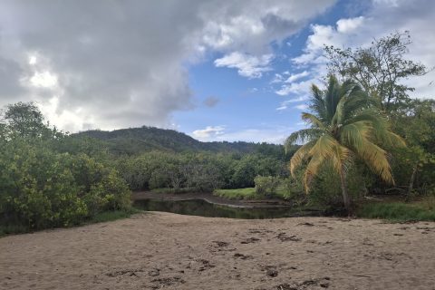 Cliquez pour zoomer ! Photo de Petroni Thermomix par Petroni