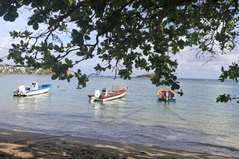 Cliquez pour zoomer ! Photo de Petroni Thermomix par Petroni