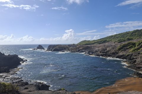 Cliquez pour zoomer ! Photo de Petroni Thermomix par Petroni