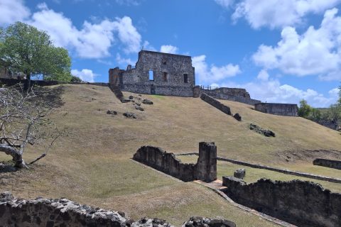 Cliquez pour zoomer ! Photo de Petroni Thermomix par Petroni