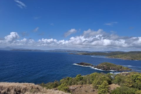 Cliquez pour zoomer ! Photo de Petroni Thermomix par Petroni