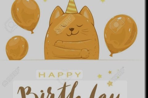 Cliquez pour zoomer ! Photo de petroni