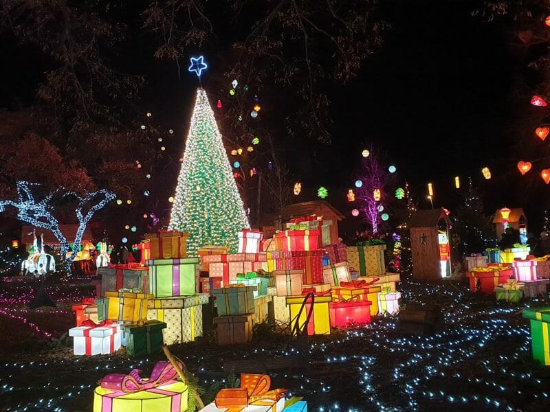 Cliquez pour zoomer ! Photo de petroni Thermomix par Petroni