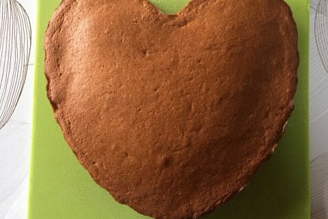 Cliquez pour zoomer ! Gâteau neige Thermomix par STL44