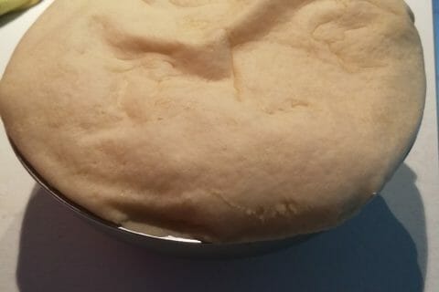 Cliquez pour zoomer ! Pains hamburger Thermomix par Mamounette et Califouette