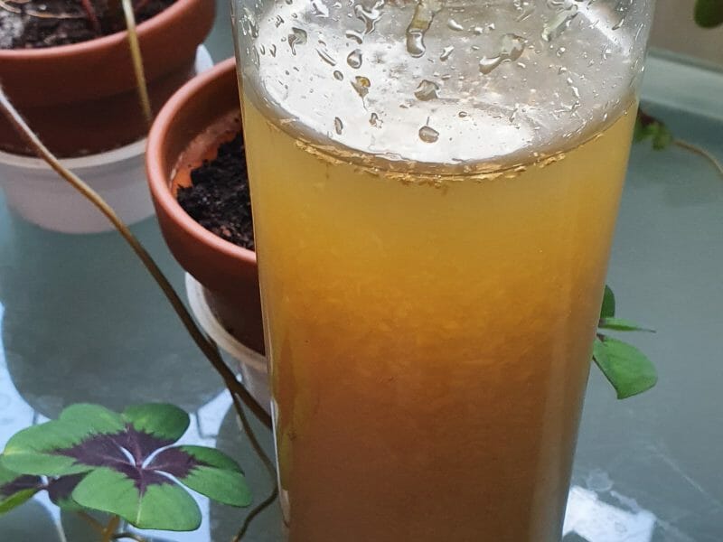 Cliquez pour zoomer ! Sirop de gingembre Thermomix par sam_dias
