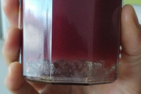 Cliquez pour zoomer ! Photo de bgfamily