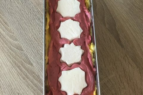 Cliquez pour zoomer ! Bûche glacée mangue et framboise Thermomix par vb63