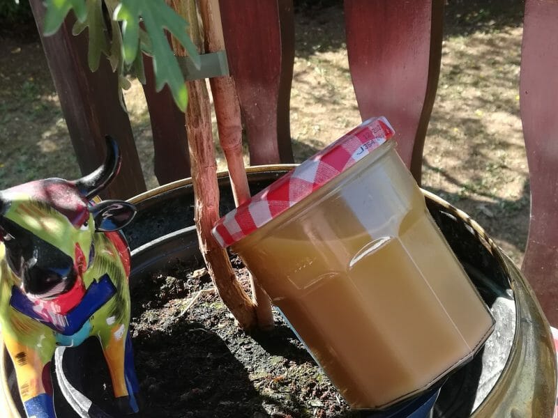 Cliquez pour zoomer ! Salidou – Caramel au beurre salé Thermomix par liethana21