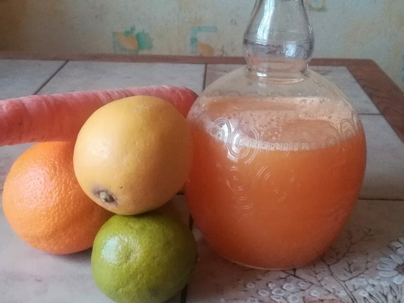 Cliquez pour zoomer ! Jus de fruits ACE Thermomix par liethana21