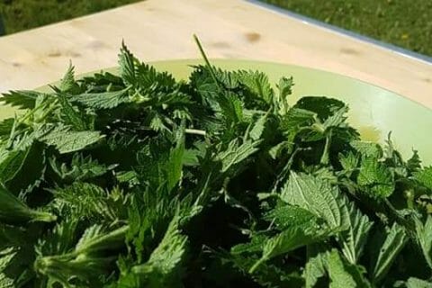 Cliquez pour zoomer ! Soupe d’orties Thermomix par helene1850