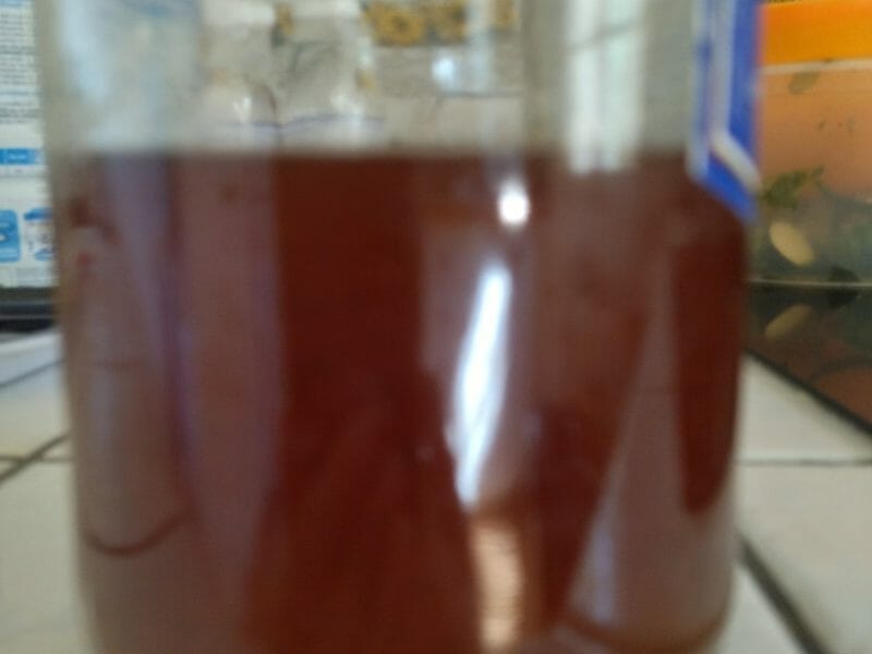 Cliquez pour zoomer ! Sirop de thé glacé – Ice tea citron menthe Thermomix par NINIFAB84120