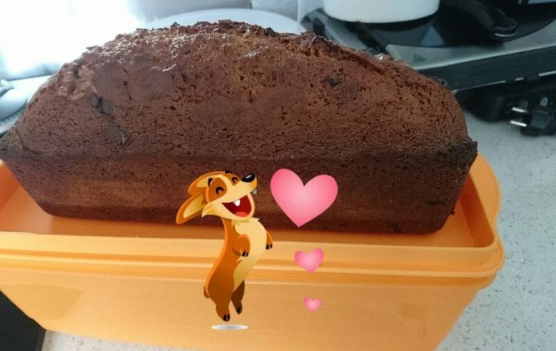 Cliquez pour zoomer ! Pain d’épices Thermomix par Cam2a