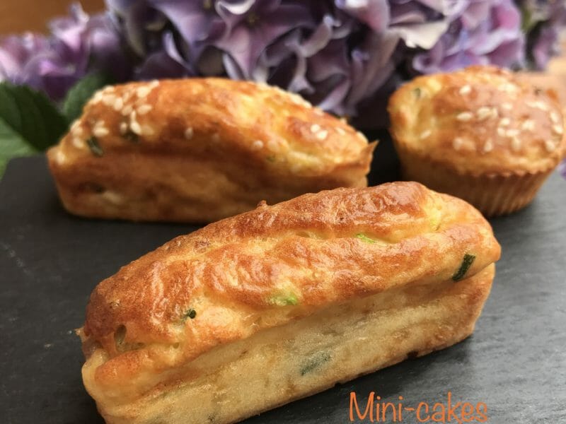 Cliquez pour zoomer ! Bouchées courgettes mozzarella Thermomix par indoparadize3