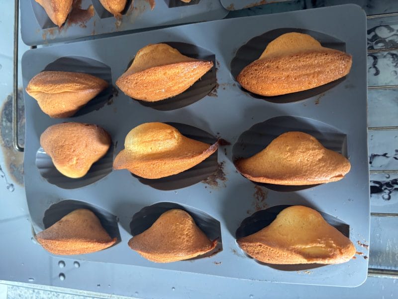 Cliquez pour zoomer ! Madeleines Thermomix par silvie11