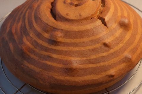 Cliquez pour zoomer ! Gâteau zébré Thermomix par silvie11