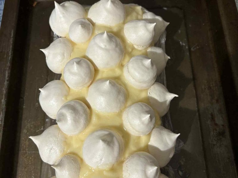 Cliquez pour zoomer ! Bûche au citron meringuée Thermomix par silvie11