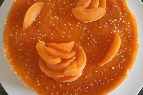 Cliquez pour zoomer ! Bavarois à l’abricot Thermomix par c@mille