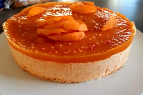 Cliquez pour zoomer ! Bavarois à l’abricot Thermomix par c@mille