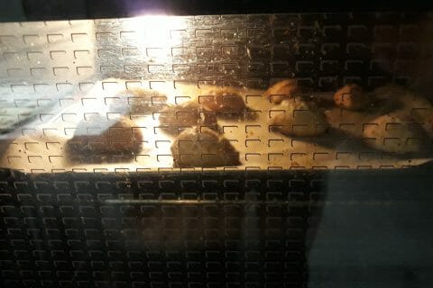 Cliquez pour zoomer ! Photo de marylenemayeur