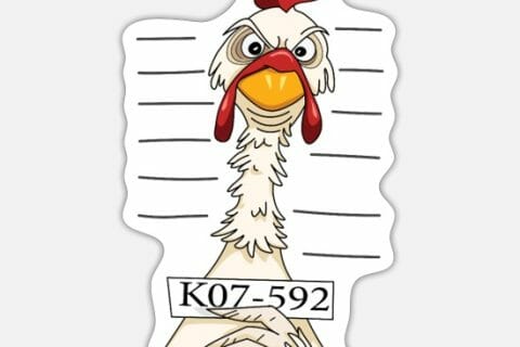 Cliquez pour zoomer ! Photo de Pita