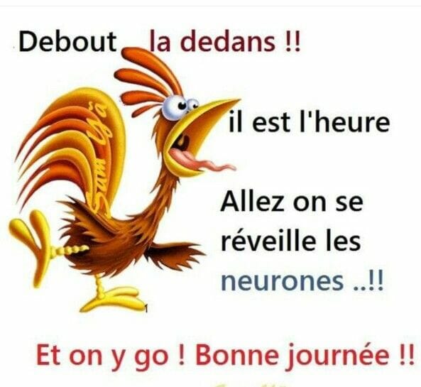 Cliquez pour zoomer ! Photo de Pita Thermomix par Pita