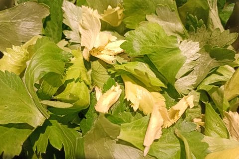 Cliquez pour zoomer ! Pesto aux fanes de radis Thermomix par caroline59470