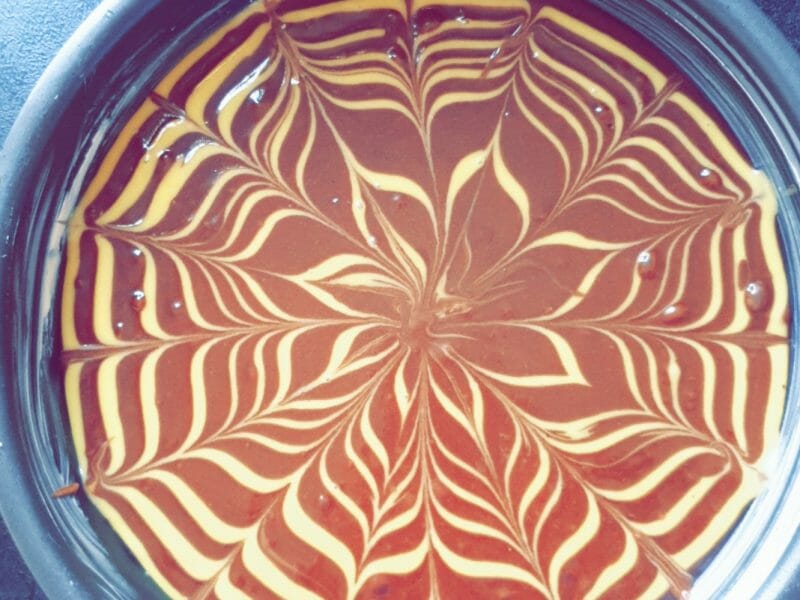 Cliquez pour zoomer ! Gâteau zébré Thermomix par nathanaelle16