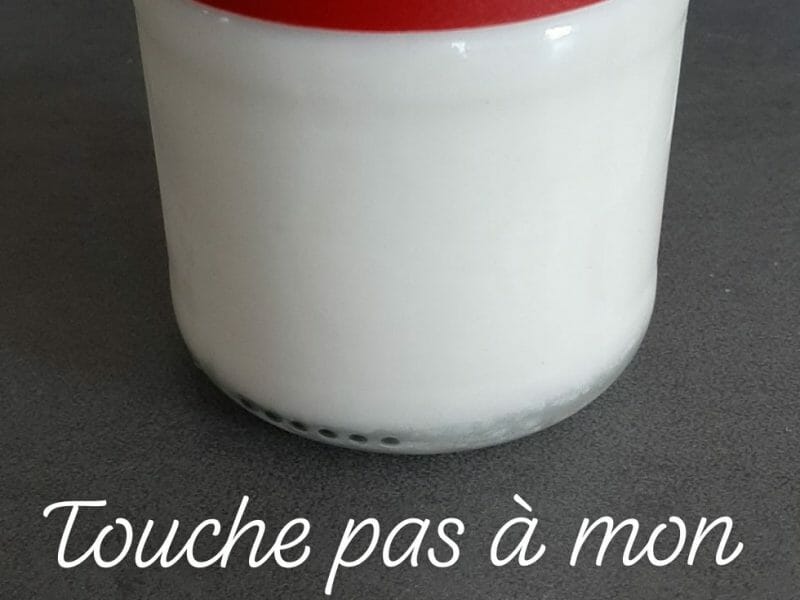 Cliquez pour zoomer ! Yaourt à boire – Yop Thermomix par Sabrina