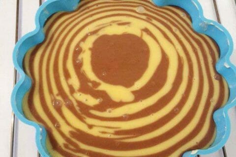 Cliquez pour zoomer ! Gâteau zébré Thermomix par mimi40