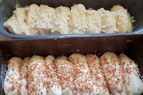 Cliquez pour zoomer ! Brioche Buchty Thermomix par veronique67