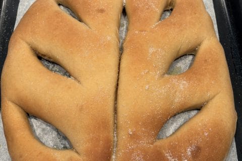 Cliquez pour zoomer ! Photo de cg1984