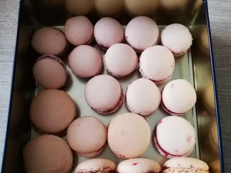 Cliquez pour zoomer ! Macarons Thermomix par lucie2000