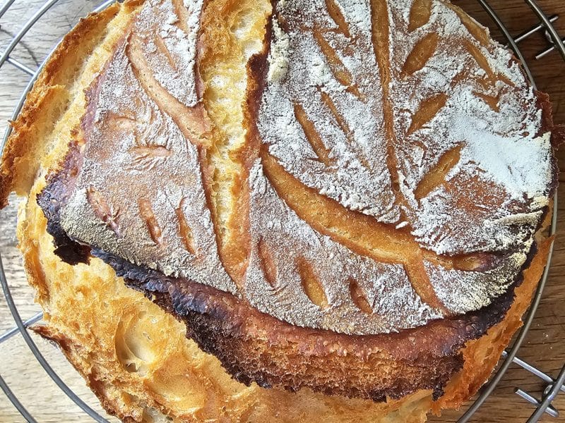 Cliquez pour zoomer ! Pain Cocotte Thermomix par cecilecordo