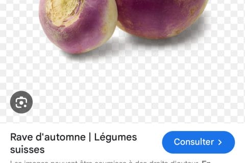 Cliquez pour zoomer ! Photo de aureliepaq