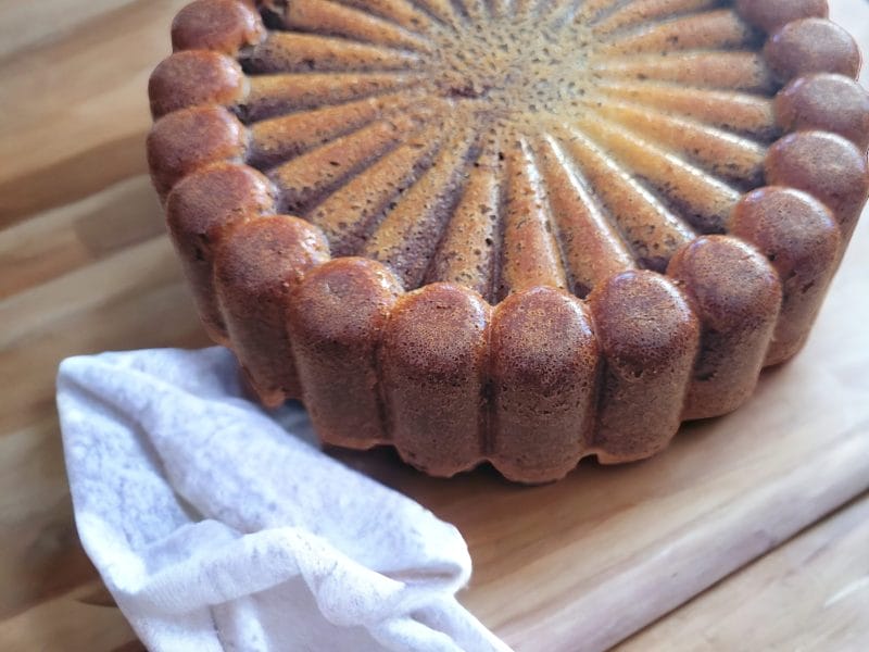 Cliquez pour zoomer ! Marbré au chocolat Thermomix par kroline25