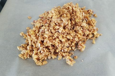 Cliquez pour zoomer ! Granola dattes et banane Thermomix par bza9o3yndfnsbgu