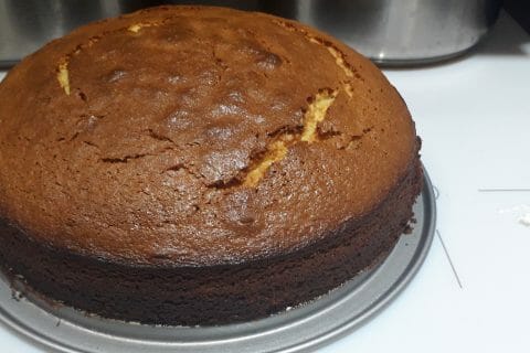 Cliquez pour zoomer ! Gâteau à l’orange Thermomix par Aliya