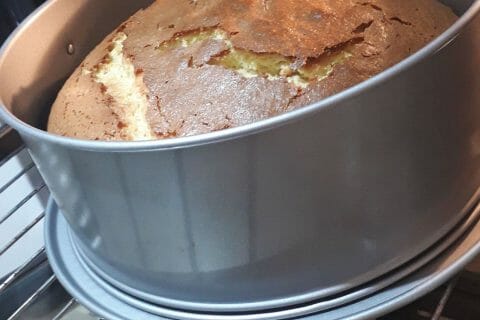 Cliquez pour zoomer ! Gâteau à l’orange Thermomix par Aliya