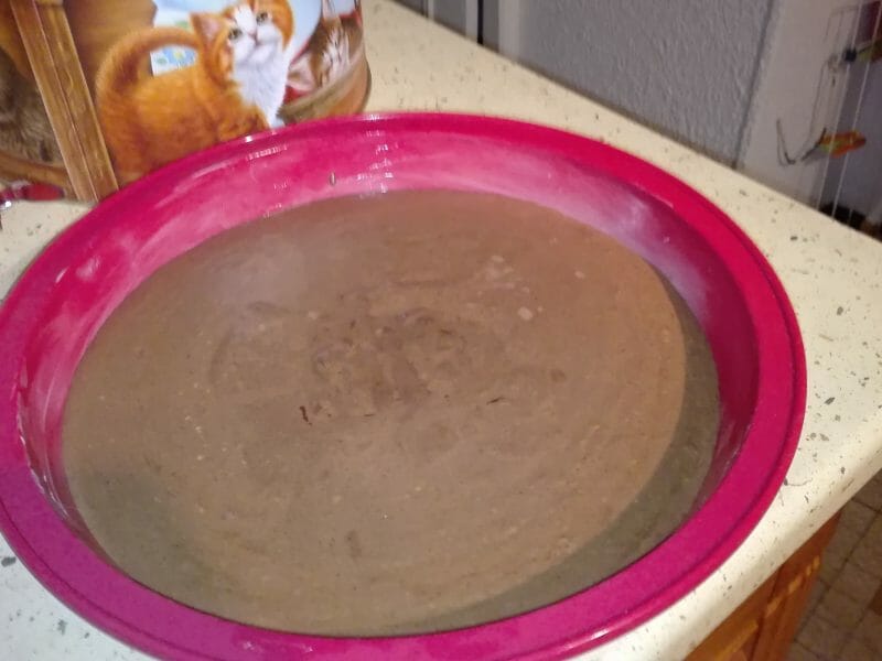 Cliquez pour zoomer ! Gâteau au chocolat et courgettes Thermomix par Marie-Fee