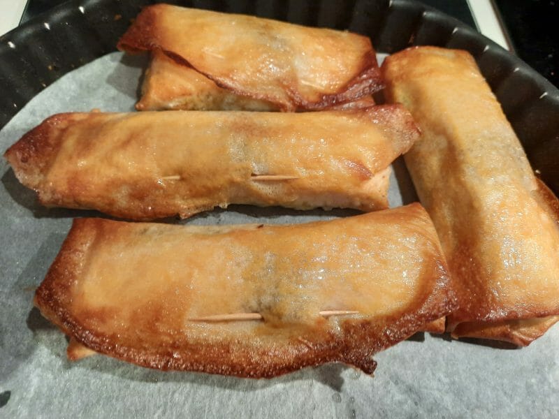 Cliquez pour zoomer ! Brick de saumon et poireaux Thermomix par tamarisse