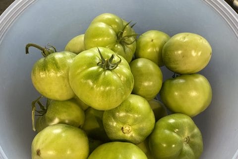 Cliquez pour zoomer ! Confiture de tomates vertes Thermomix par Zaza