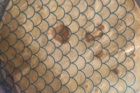 Cliquez pour zoomer ! Tortillas de blé Thermomix par coconuuuuuuts