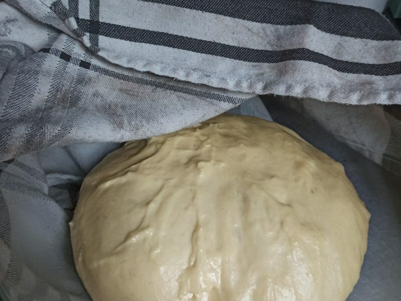 Cliquez pour zoomer ! Brioche Buchty Thermomix par nokadale